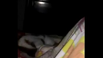 gato da ekira fudendo com o cobertor